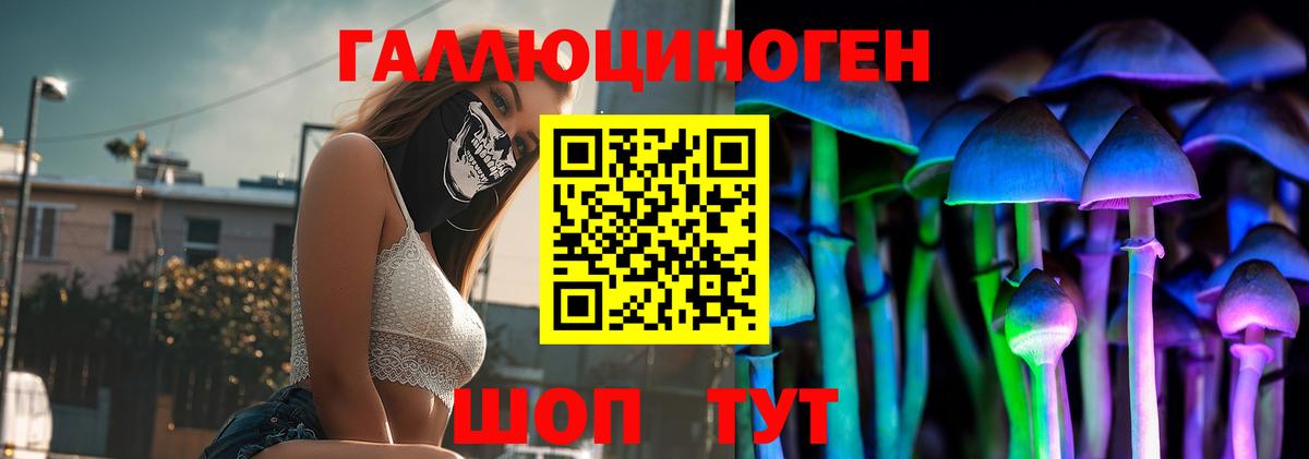 Евпатория  Псилоцибиновые грибы мицелий  Вход с VPN 